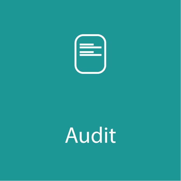 Service Suite Audit