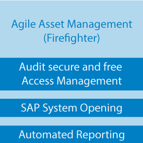 Audit secure and free Access Management, SAP System Opening, Automated Reporting